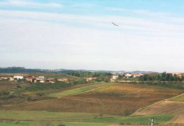 Panorama
Frazione Borghetto - Panorama