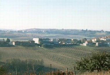 Panorama
Frazione Borghetto - Panorama