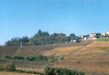 Panorama
Frazione San Defendente - Panorama