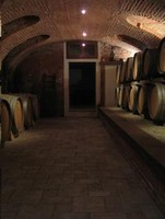 Azienda Vitivinicola "Ceste...